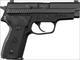 Talo  P229 9Mm Classic Carry 3.9" Siglite 13-Sh G10 () SIG E299CCLGCY