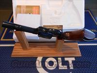 Colt   Img-3