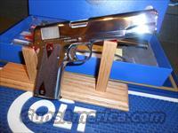 Colt   Img-9