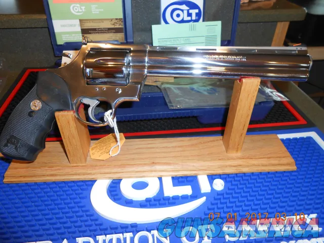 Colt   Img-5
