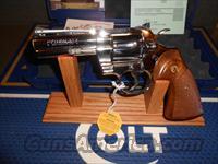 Colt   Img-10