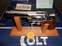 Colt   Img-11