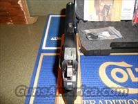 Colt 1911 Rail Gun 22Lr.