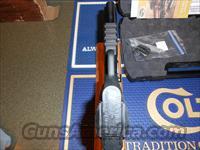 Colt 1911 Rail Gun 22Lr.