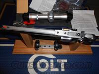 Colt   Img-3