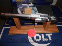 Colt   Img-10