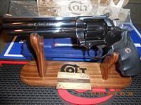 Colt   Img-14