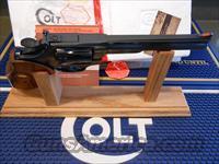 Colt   Img-11