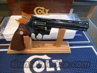 Colt   Img-5