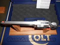 Colt   Img-12