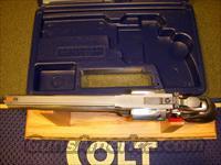 Colt   Img-6