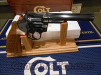 Colt   Img-7