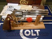 Colt   Img-4