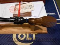 Unfired Colt Python Target 8" Complete