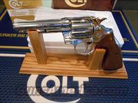 Colt   Img-9