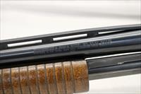 Winchester Ranger MODEL 129 Pump Action Shotgun  20Ga. for 2 3/4 & 3 Shells  28 Vented Vib Barrel  STUNNING WOOD GRAIN Img-8