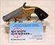 Merrimack Arms & Mfg. Co. SOUTHERNER Derringer ~ .41 Short Rimfire Caliber ~ Navy Arms Ammo