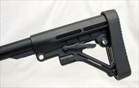 DARK STORM INDUSTRIES DS-15 Multi-Cal semi-automatic rifle  5.56mm  NO MASS SALES Img-8