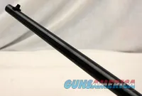 Savage Model 64 semi-automatic rifle ~ .22LR ~ 21" Barrel ~ Synthetic Stock