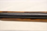 Savage / Springfield MODEL 120 Single Shot Bolt Action Rifle ~ .22 S,L, LR ~ Manual Bolt Safety ~ GREAT BEGINNER!