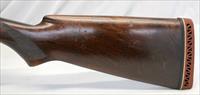 SAVAGE Model 720 semi-automatic shotgun  12Ga  28 Barrel  MOD Choke  ENGRAVED RECEIVER  Browning A5 Clone Img-2