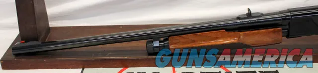 Winchester Other1300 XTR  Img-4