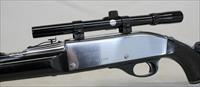 Remington NYLON 66 semi-automatic rifle  APACHE BLACK / CHROME  .22 LR Img-3