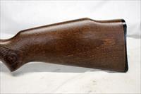 Marlin / Glenfield MODEL 60 semi-automatic rifle ~ .22LR  ~ "Squirrel" Stock