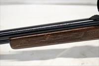 Marlin / Glenfield MODEL 60 semi-automatic rifle ~ .22LR  ~ "Squirrel" Stock