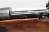 F.B. Radom MAUSER Wz.98a bolt action SPORTER rifle  8mm  DEER HUNTING GUN Img-4