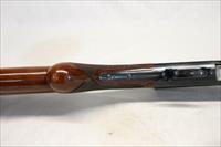 Early Browning LIGHT TWELVE semi-automatic shotgun  12Ga.  BELGIUM Made  1961 Mfg. Img-18
