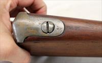 ASA WATERS Percussion Conversion MODEL 1816 Rifle  MILLBURY, MA 1827  .69 Cal Musket Img-18