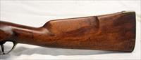 Antique Prussian Model 1809 POTSDAM Conversion Musket  .72 Cal  1838 Percussion Rifle Img-2