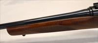 Swedish MAUSER Bolt Action Rifle  6.5mm  SPORTER Hunting Gun  Matching Numbers Img-6