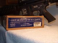 Colt   Img-1