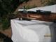 FINNISH M-39 MOSIN-NAGANT