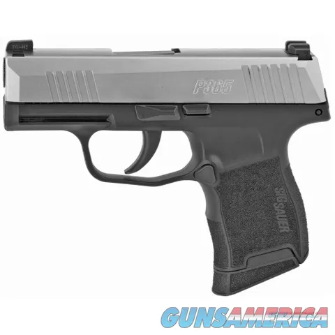 Sig Sauer P365-9-TXR3E 9mm 3.1" 10Rd BLK/STS Rated +P