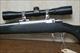 Ruger M77 Mark II All Weather Ultralight .204 Ruger