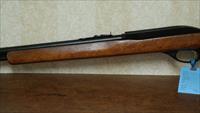 Marlin Glenfield Model 60 .22LR Img-3