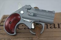 Bearman Big Bore Guardian .38 Special STN/RSWD
