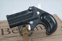 Bearman Big Bore Guardian .38 Special BLK/BLK