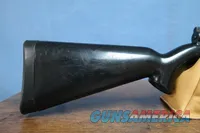 Charter Arms AR-7 Explorer .22LR Semi-Auto Rifle