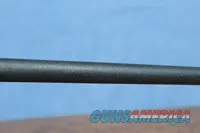 Charter Arms AR-7 Explorer .22LR Semi-Auto Rifle