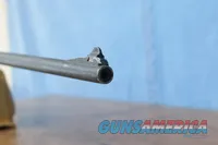 Charter Arms AR-7 Explorer .22LR Semi-Auto Rifle