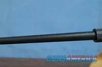 Charter Arms AR-7 Explorer .22LR Semi-Auto Rifle