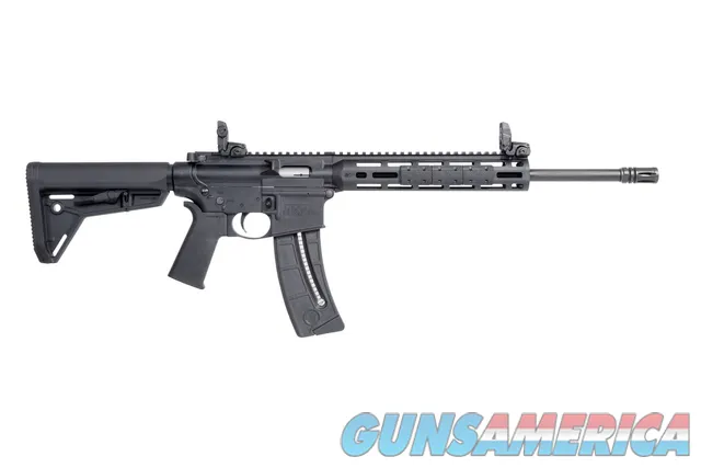 Smith & Wesson SMITH & WESSON M&P15-22 SPORT MOE 22 CAL