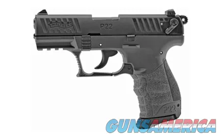 Walther WALTHER P22 2TONE TUNGSTEN GREY 