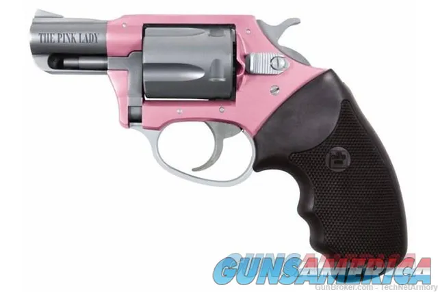 Charter Arms Pink Lady .38SPEC 2" 5 Round 53830 EZ PAY $34