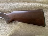 Stoeger Coach Cowboy Shotgun 12ga
