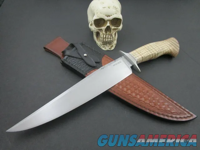 Mozolic Knives Gorgeous 1 Off Curly Ash Burl  Fighter / Bowie
